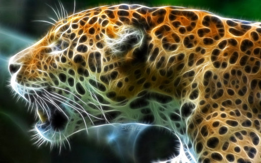 466859 (a): :1680x1050